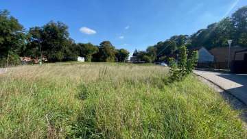 Pellendorf-Baudgrund2